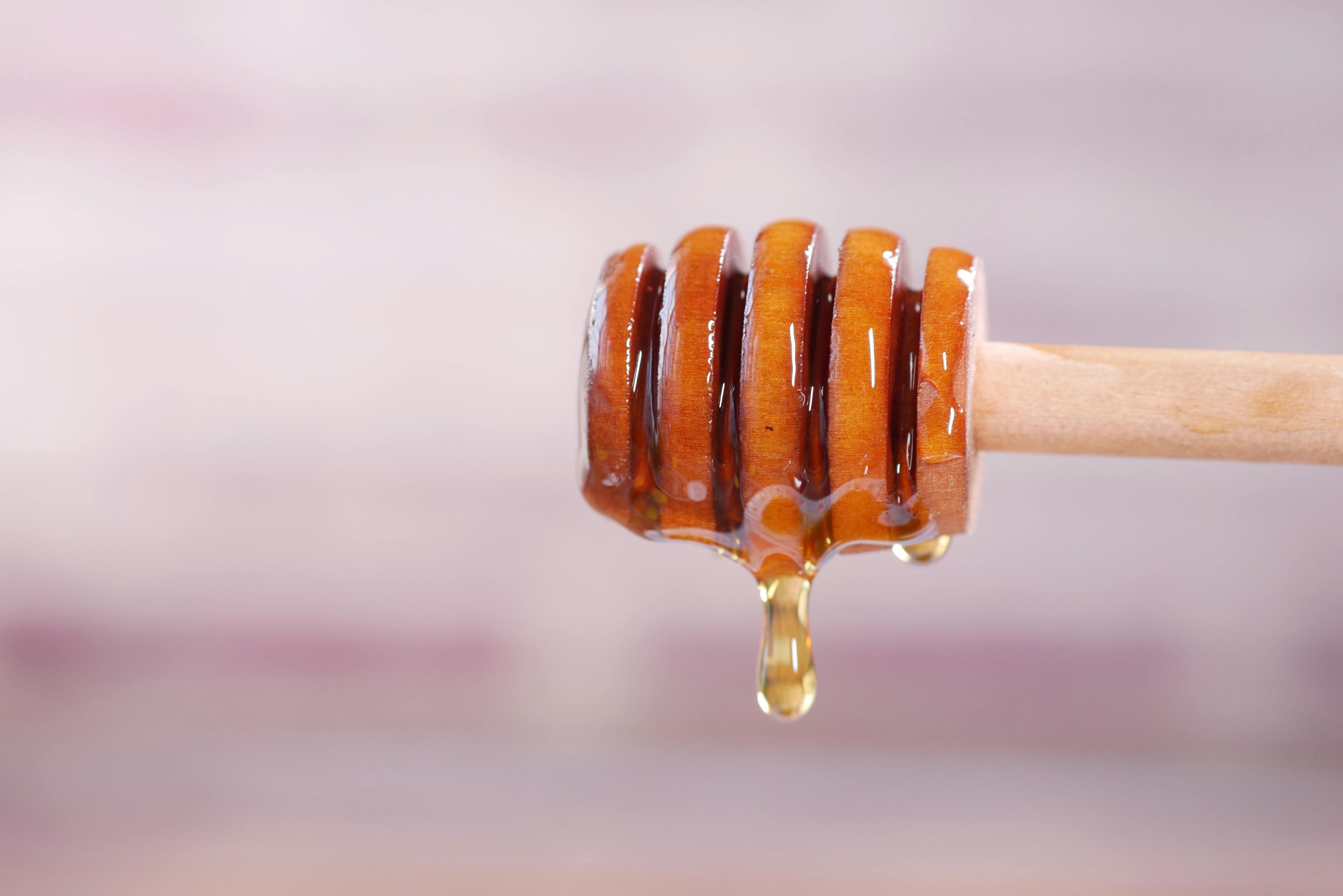 A close-up of a ribbed wooden honey wand saturated in translucent amber honey, with several viscous drops falling from the bottom.